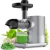 RELAX4LIFE Estrattore Di Succo A Freddo, Estrattore Silenzioso Per Frutta E Verdura, Spremitura Lenta, Per Conservare Vitamine Naturali, Corpo In PP, Centrifuga Elettrica In Acciaio, Argento, 150 W -Piccoli Elettrodomestici Negozio 67415275 1
